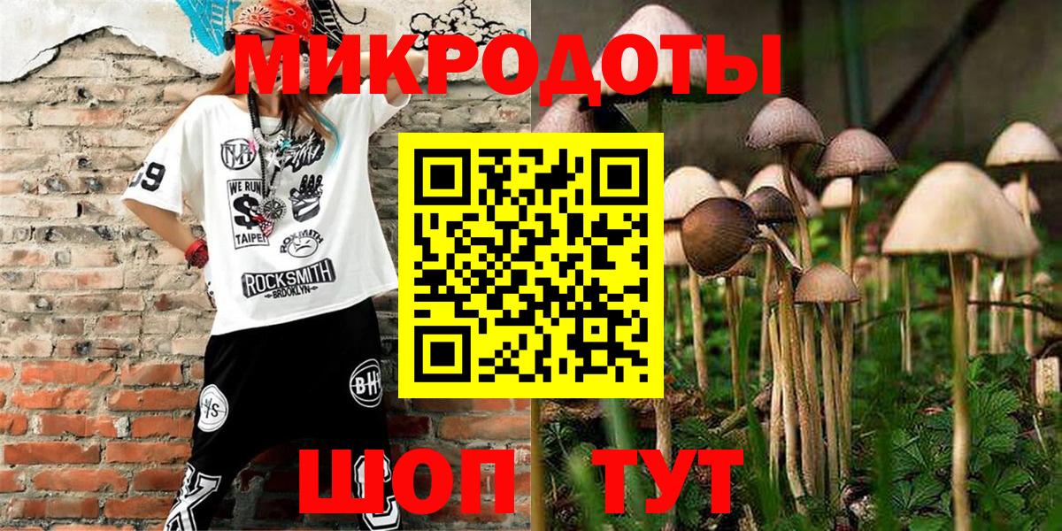 Псилоцибиновые грибы Psilocybine cubensis Камень-на-Оби