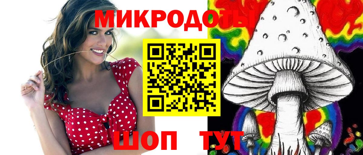 Камень-на-Оби  Галлюциногенные грибы MAGIC MUSHROOMS  купить наркотики цена  Вход с VPN  Псилоцибиновые грибы ЛСД 